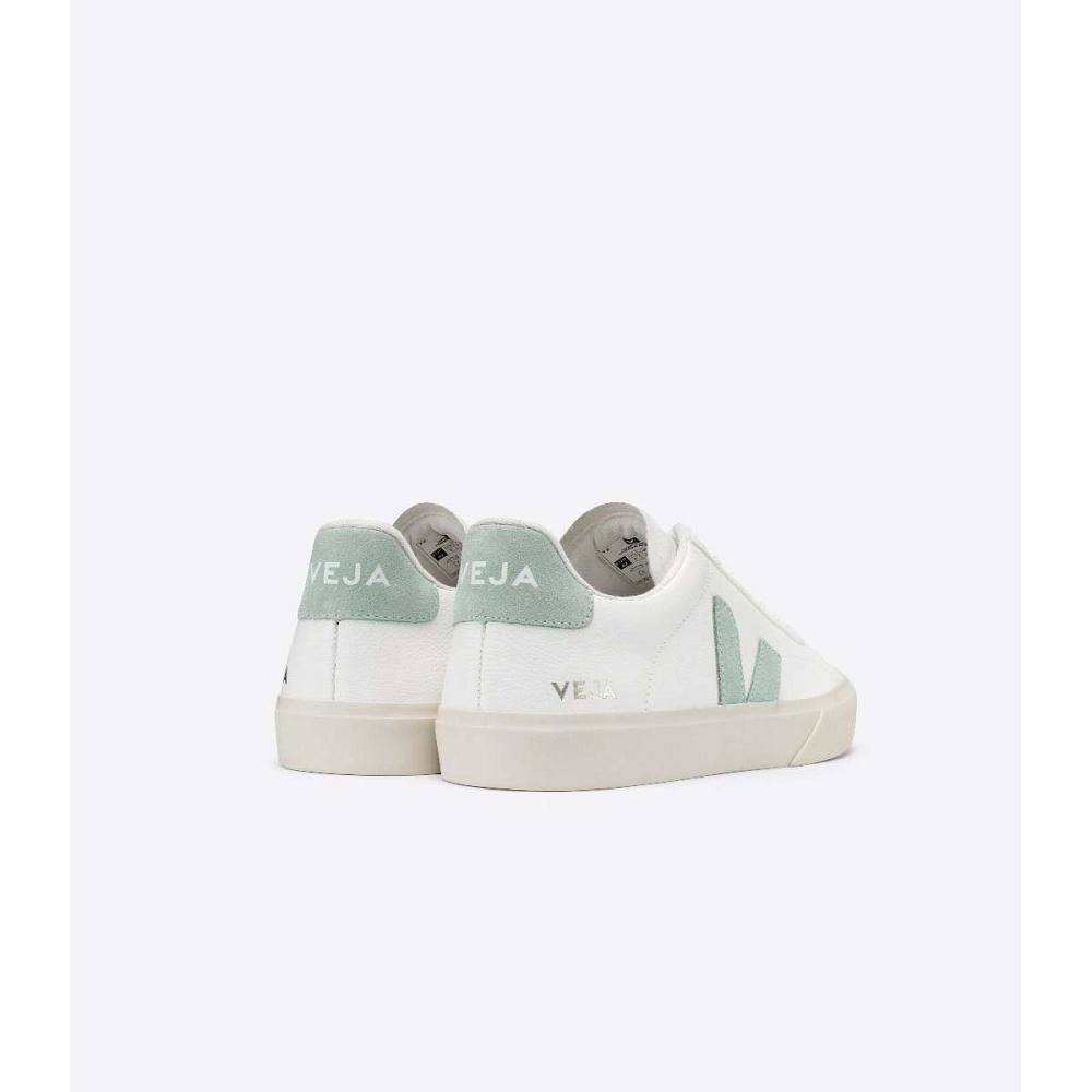 Veja CAMPO CHROMEFREE Low Tops Sneakers Heren White/Green | NL 196NWY